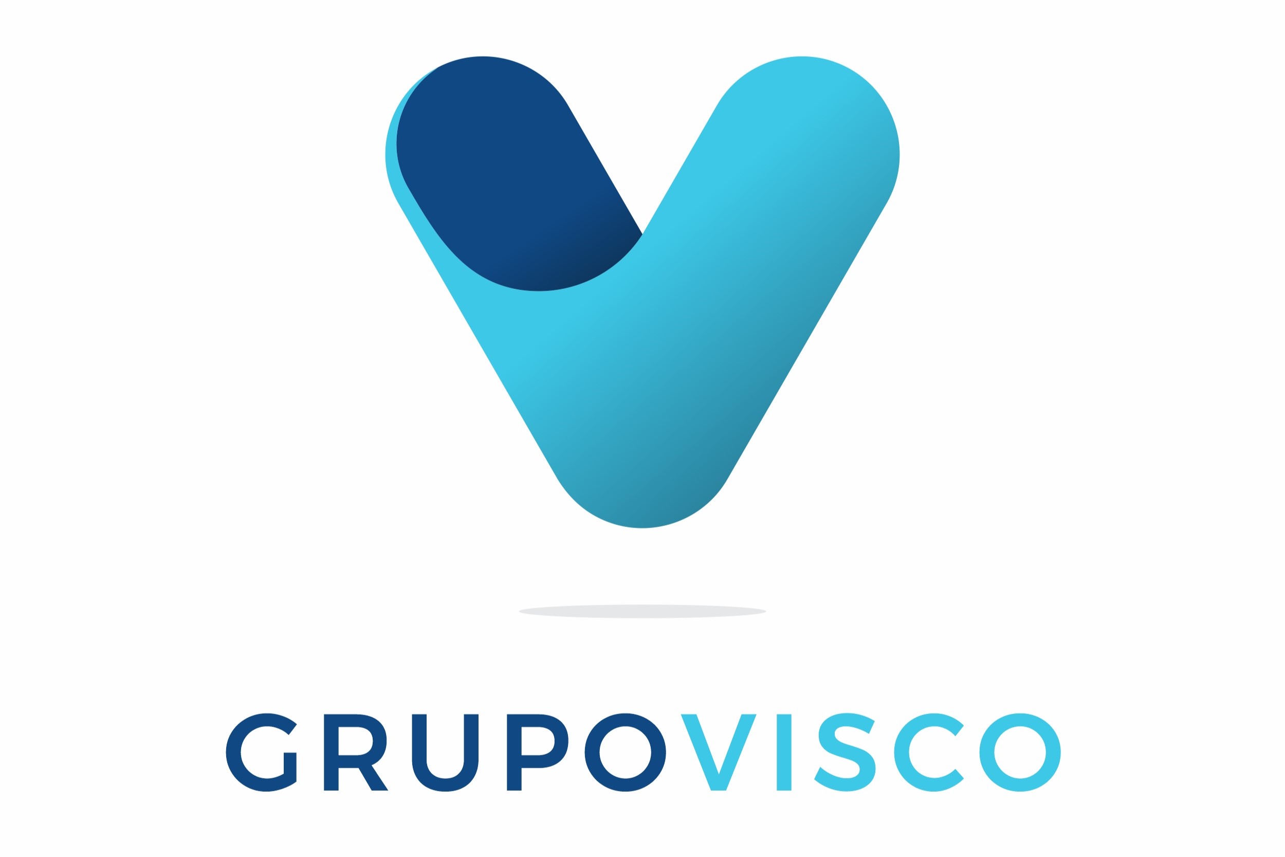 Grupo Visco